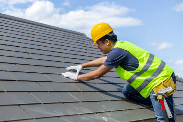 Best Roof Gutter Cleaning  in Ferndale, MI