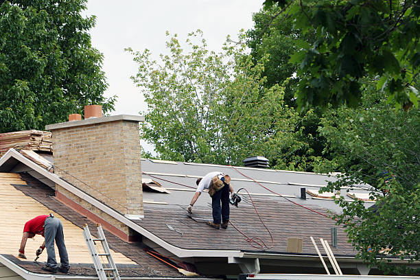 Quick and Trustworthy Emergency Roof Repair Services in Ferndale, MI